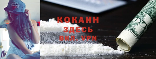 бошки Сатка